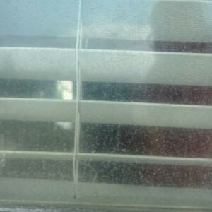 Window Washing Pocatello