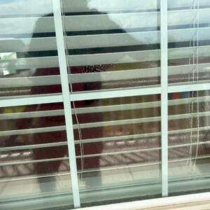 Window Washing Pocatello
