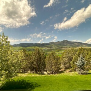 Window Washing Pocatello